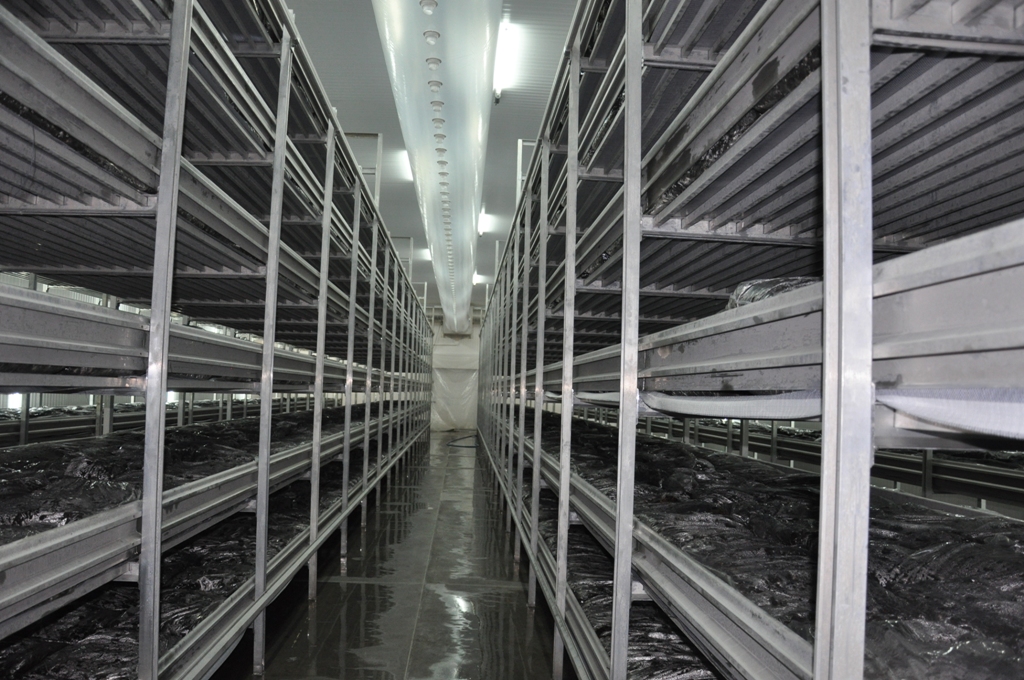 Mushroom Growing Racks Aluminium Jolfa Sanat Co.